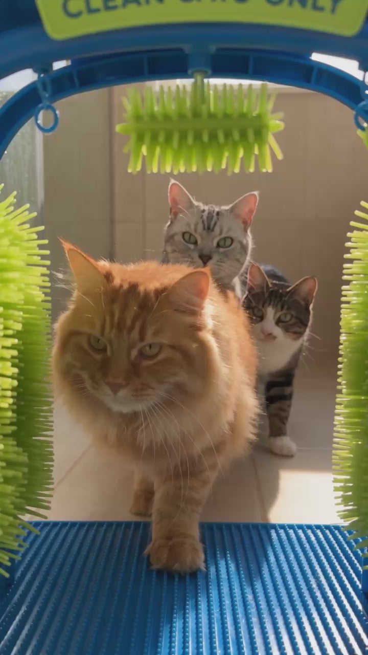 CAT WASH Self-Grooming Arch